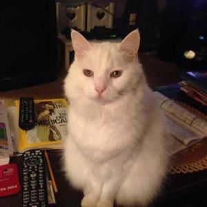 Meet your Posher, Jean